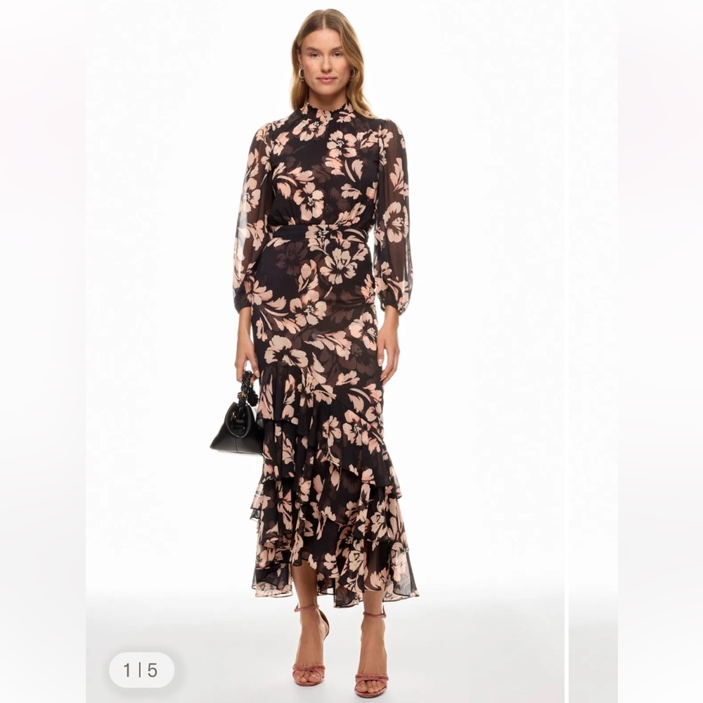 NWT Misa Los Angeles Black Maxi Dress with Blush Floral Print